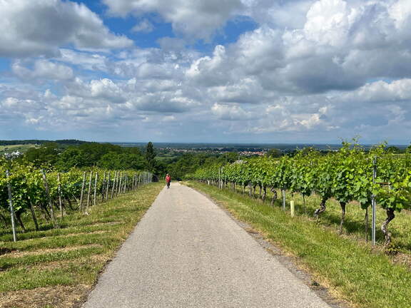 22-06-06 11-07-28 1050